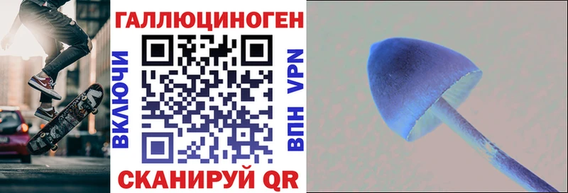 купить   Александров  omg как войти  Галлюциногенные грибы MAGIC MUSHROOMS 
